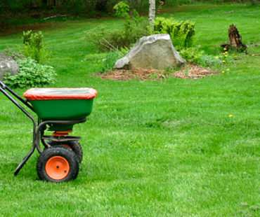 Nawożenie trawnika