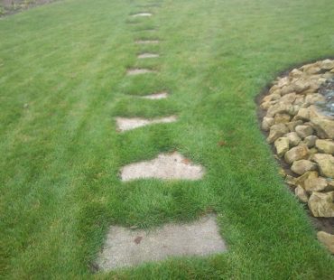 Chodnik zarasta trawą