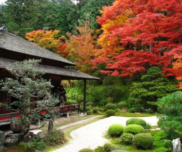 Ogrody  Dalekiego  Wschodu