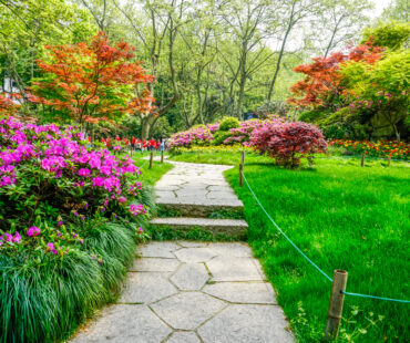 Jak wygląda profesjonalny projekt ogrodu? Przewodnik od pomysłu do realizacji