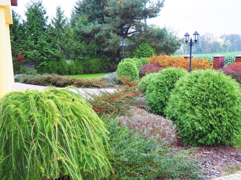 Zakładanie ogrodów Lusówko